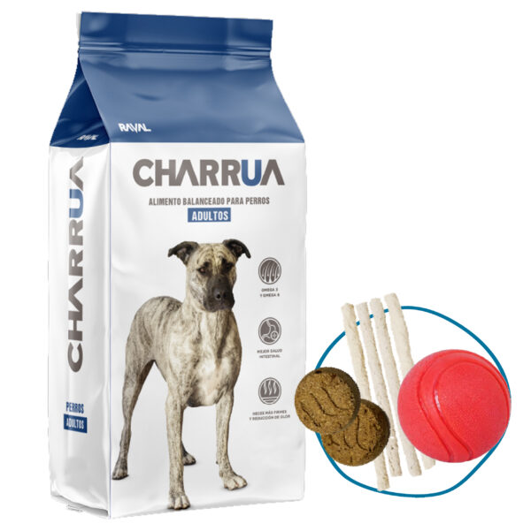Charrua Perro Adulto Todas Las Razas 22 Kg