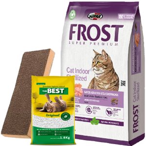 Frost Cat Gato Adulto Indoor