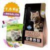 Alimento Matisse Gato Adulto Castrado Salmón 7,5 Kg + Obs