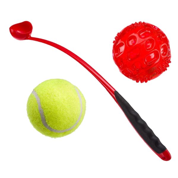 Lanza Pelotas + 2 Pelotas PA6091 Ferplast