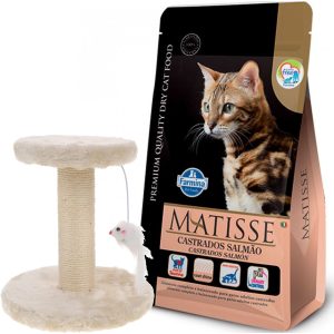 Matisse Gato Adulto Castrado Salmón 7,5 Kg