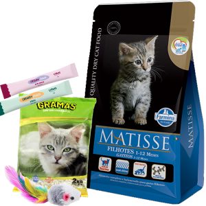 Matisse Gato Cachorro / Kitten 7,5 Kg