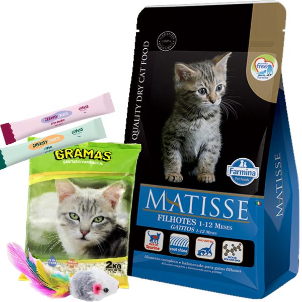 Matisse Gato Cachorro / Kitten 7,5 Kg