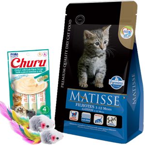 Matisse Gato Cachorro / Kitten 7,5 Kg