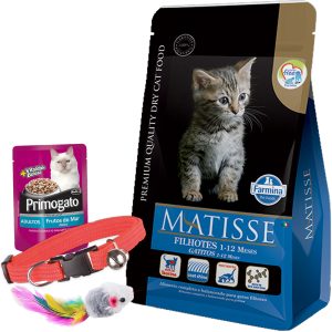 Matisse Gato Cachorro / Kitten 7,5 Kg