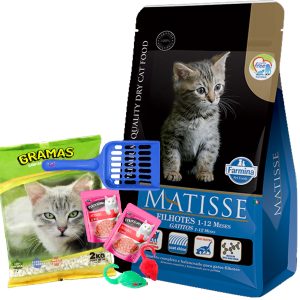 Matisse Gato Cachorro / Kitten 7,5 Kg