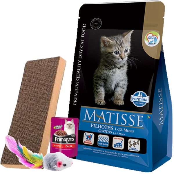 Matisse Gato Cachorro / Kitten 7,5 Kg