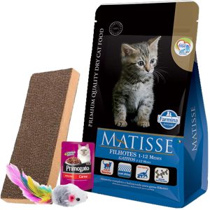 Matisse Gato Cachorro/Kitten 7,5 kg