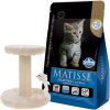 Matisse Gato Cachorro / Kitten 7,5 Kg
