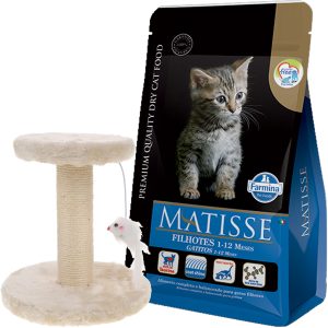 Matisse Gato Cachorro / Kitten 7,5 Kg