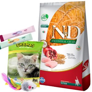 N&D Ancestral Grain Gato Cachorro/Kitten 7,5 kg