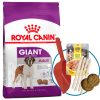 Royal Canin Giant Perro Adulto Raza Gigante 15 Kg