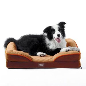 Cama Baylor Tamaño Mediana CE-305m