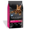 Equilibrio Gato Adulto 8,25 Kg (BOLSA CON DETALLE)