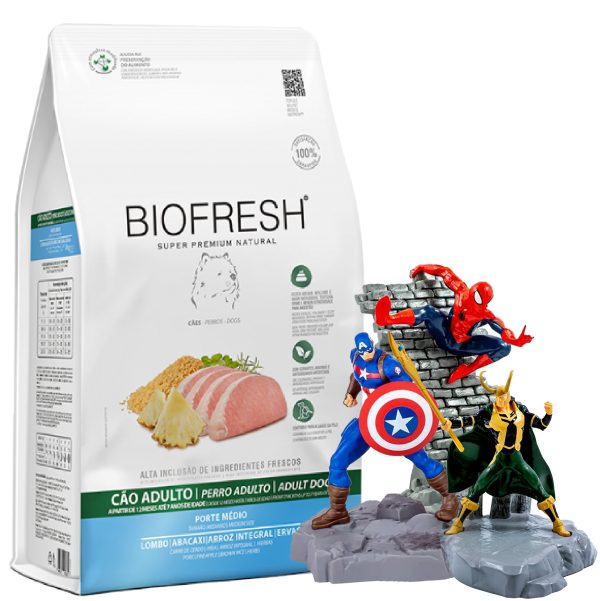 Biofresh Perro Adulto Raza Mediana / Cerdo Y Ananá 10,1 Kg