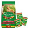 Alimento Perro Adulto Dog Chow Mediano Grande 24 Kg + Regalo