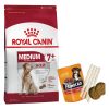Alimento Royal Canin Medium Mature 15 Kg + Regalo + Envío