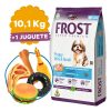 Comida Perro Cachorro Frost Sb Raza Peq 10,1 Kg + Contenedor