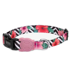 Collar Zee Dog / Diseño Mahalo