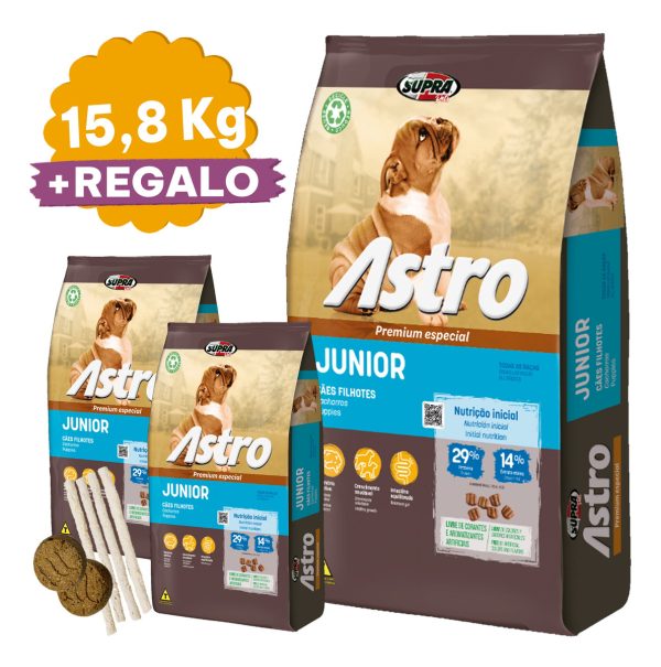 Comida Seca Perro Cachorro Astro Junior 15kg Premium - Imagen 2
