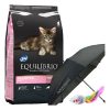 Equilibrio Gato Cachorro Kitten 7,5 Kg
