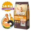 Astro Sb Perro Small Breed Raza Pequeña 15 Kg + Contenedor