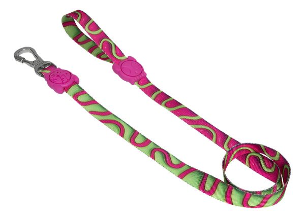 Correa Para Perro Zee Dog Diseño Jelly Tamaño L