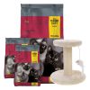 Alimento Gato Three Cats Original Castrado 15kg + Regalo