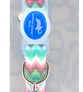 Collar Para Gatos Zigzag Animal Planet (ap-c735-289)