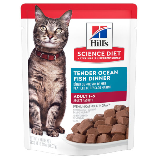 Pouch Hills Gato Adulto Sabor Pescado/ Ocean Fish 80 Gr