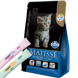 Matisse Gato Cachorro / Kitten 2 Kg