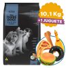 Three Dogs Super Cachorro Raza Pequeña / Mini 10.1 Kg