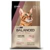 Balanced Natural Recipe Gato Adulto Pollo 7,5 Kg (BOLSA CON DETALLE)
