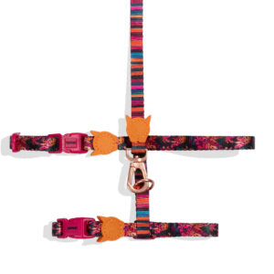 Arnes Con Correa Para Gatos Zee Cat