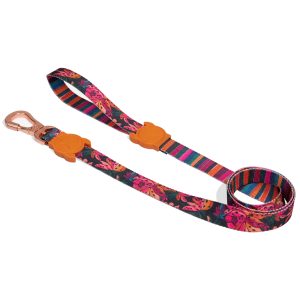 Correa Zee Dog / Diseño Selva