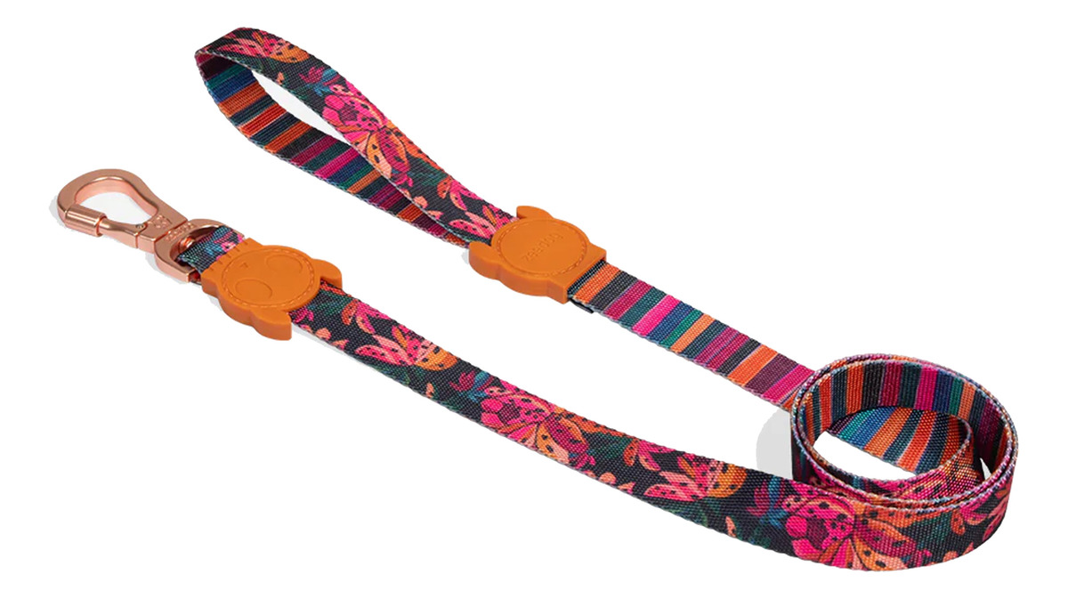 Correa Para Mascota Zee Dog Leash Tamaño L - Imagen 2