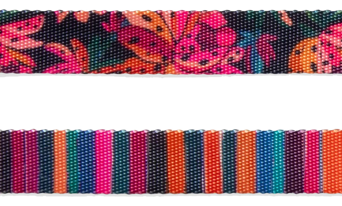 Correa Para Mascota Zee Dog Leash Tamaño L - Imagen 5