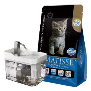 Matisse Gato Cachorro / Kitten 7,5 Kg