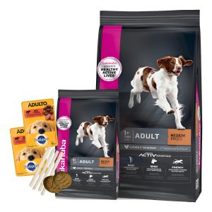 Eukanuba Adulto Raza Mediana 18 Kg