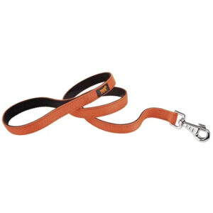 Correa Reforzada Ferplast 25 mm - 110 cm Dual G25/110