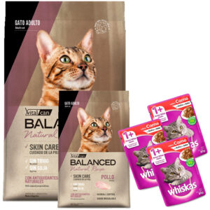 Balanced Natural Recipe Gato Adulto Pollo 10,5 Kg (7,5 + 3)