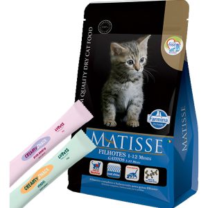Matisse Gato Cachorro / Kitten 2 Kg
