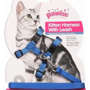 Arnes Y Correa Para Gato Pawise Azul Talle M