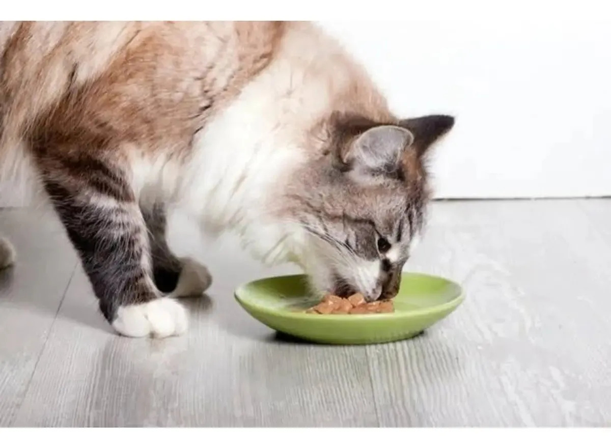 Alimento Whiskas Adulto Paté De Carne De 340 G - Imagen 3