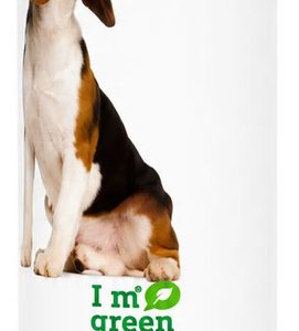 Shampoo Para Perros My Dog Skin Care Brillo Y Volumen 300ml