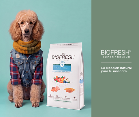 1. Banners internos por Marca Biofresh Mobile