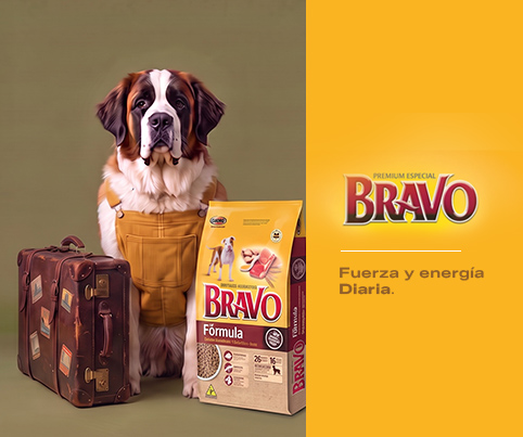 10. Banners internos por Marca Bravo Mobile