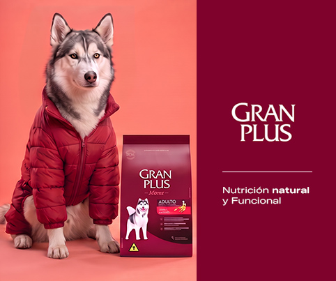 11. Banners internos por Marca GranPlus Mobile