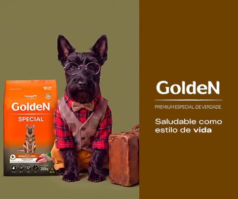 12. Banners internos por Marca Golden Mobile