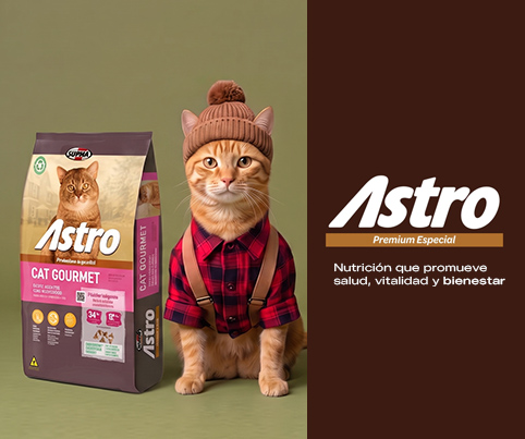 14. Banners internos por Marca Astro Mobile